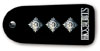 Chief Immigration Officer-Rank insignia