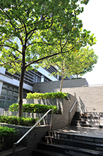 入境事务学院提供绿化环境，并鼓励员工多用楼梯。