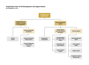Organisation Chart of the Management and Support Branch