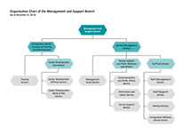 Organisation Chart of the Management and Support Branch