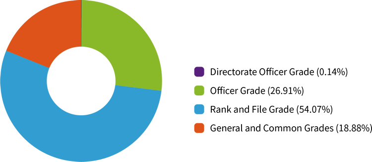 pie chart