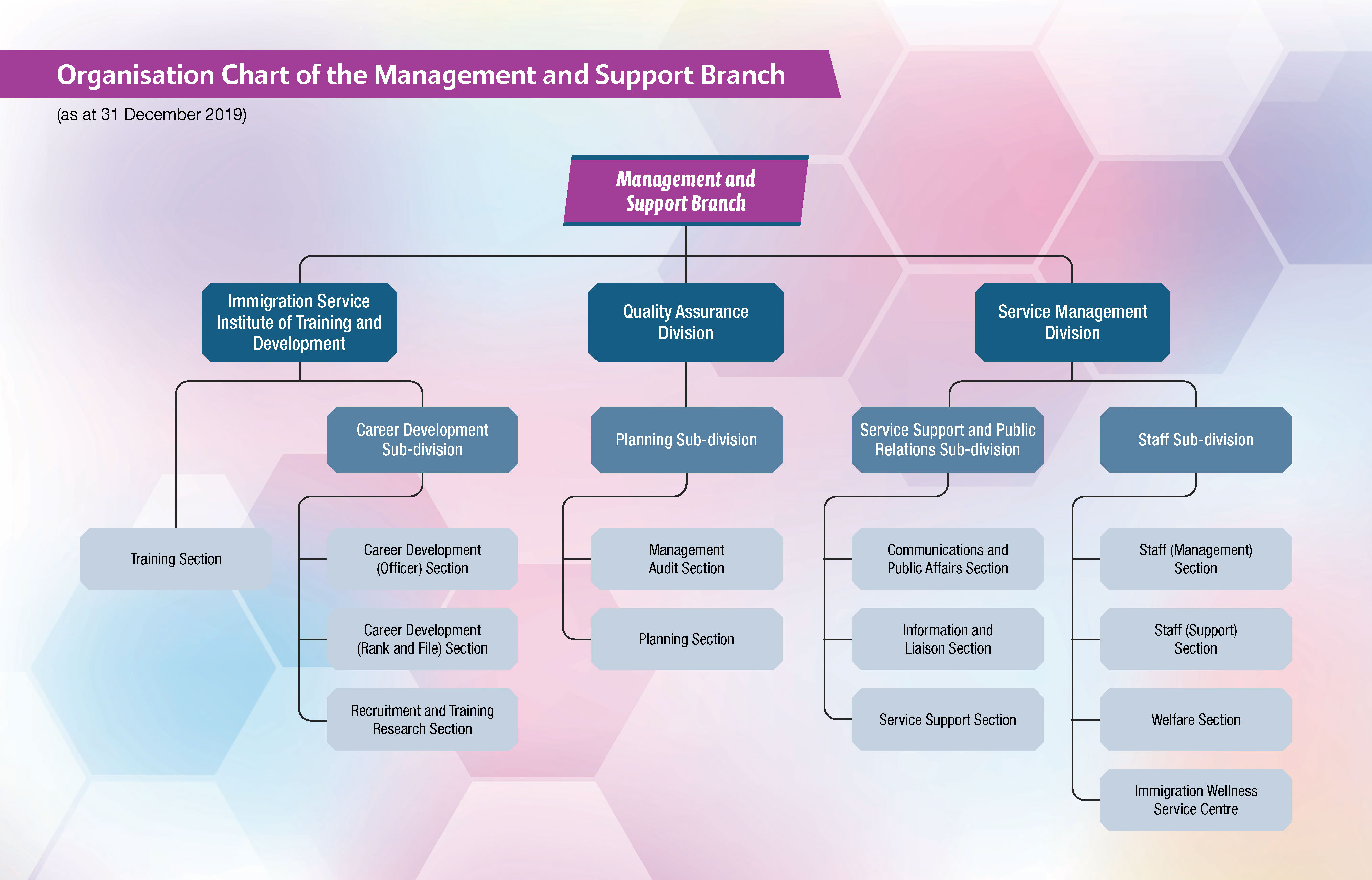 Organisation Chart of the Management and Support Branch