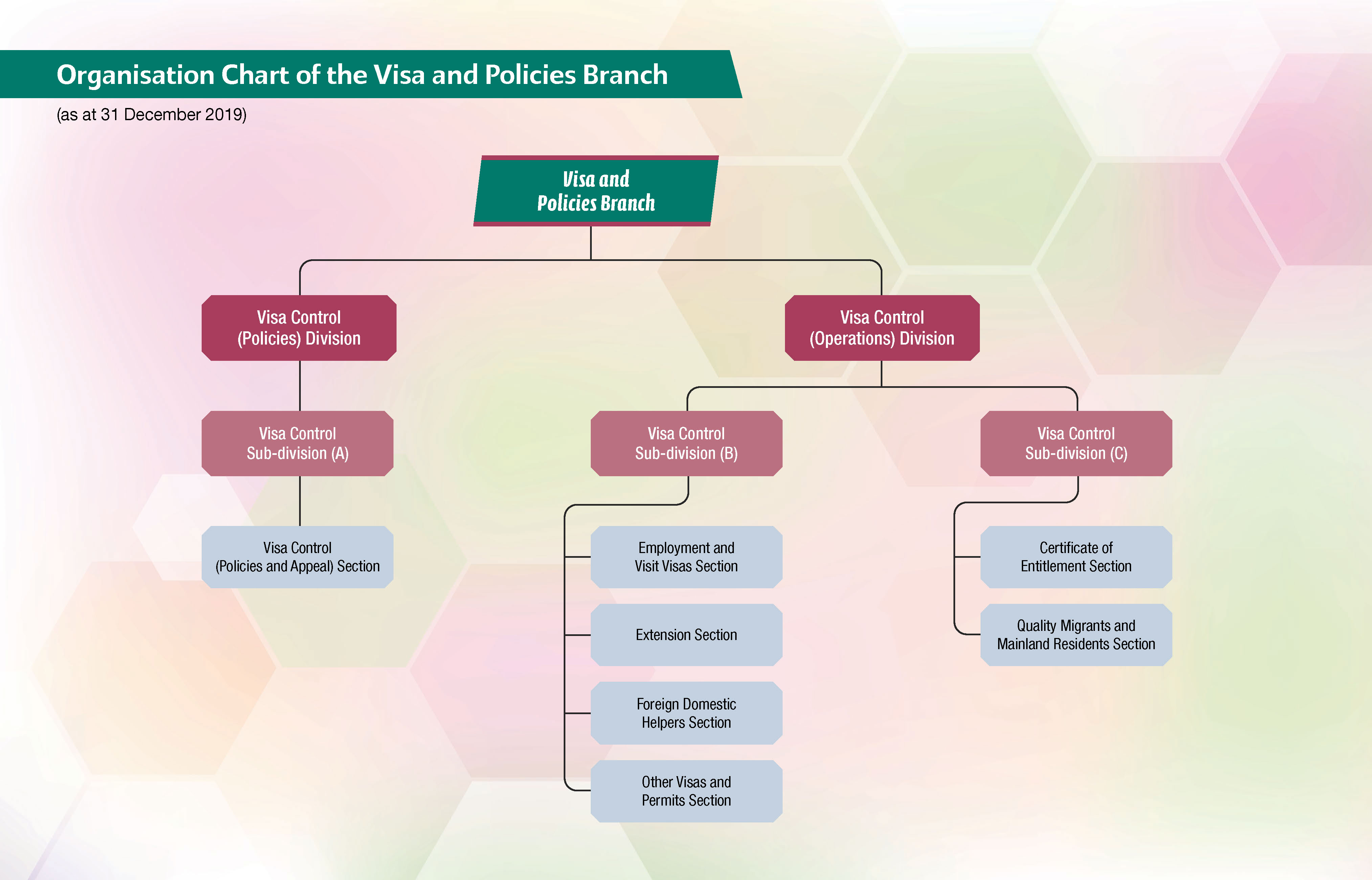 Organisation Chart of the Visa and Policies Branch