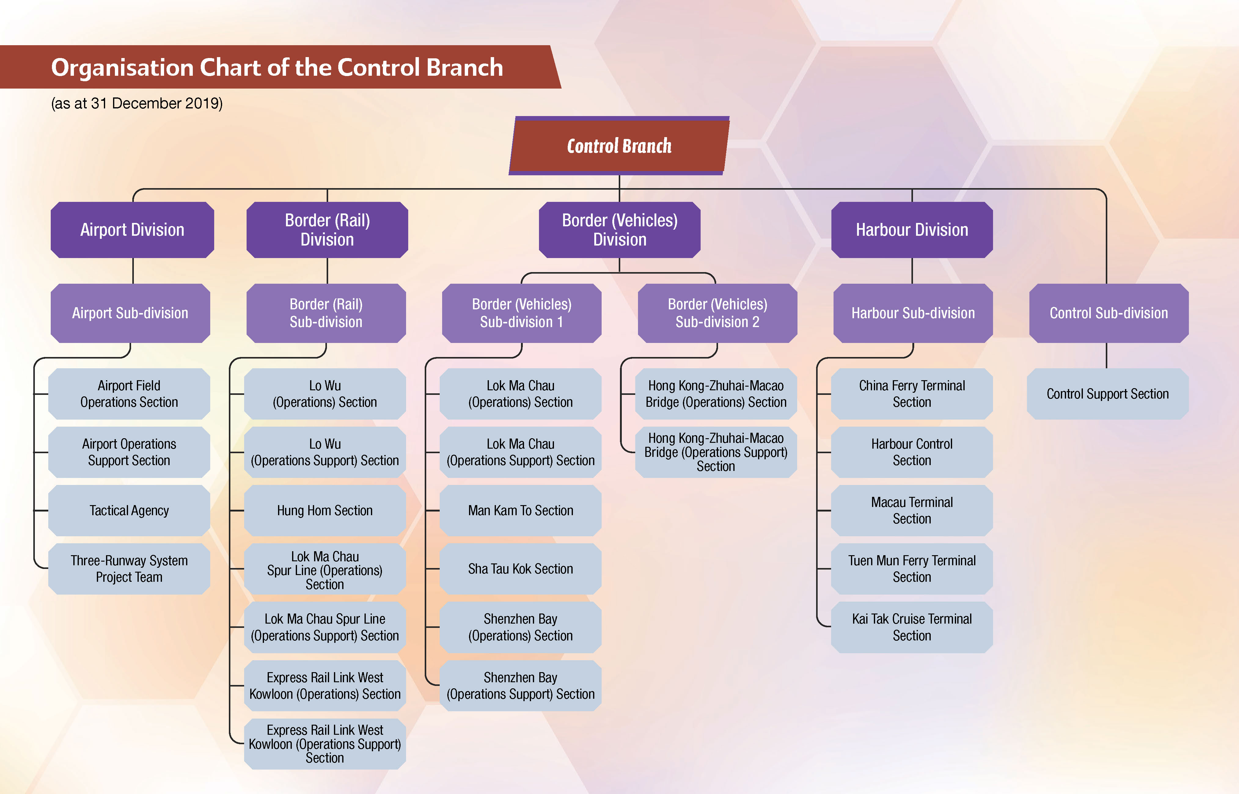 Organisation Chart of the Control Branch