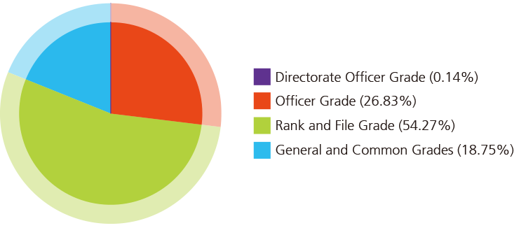 pie chart