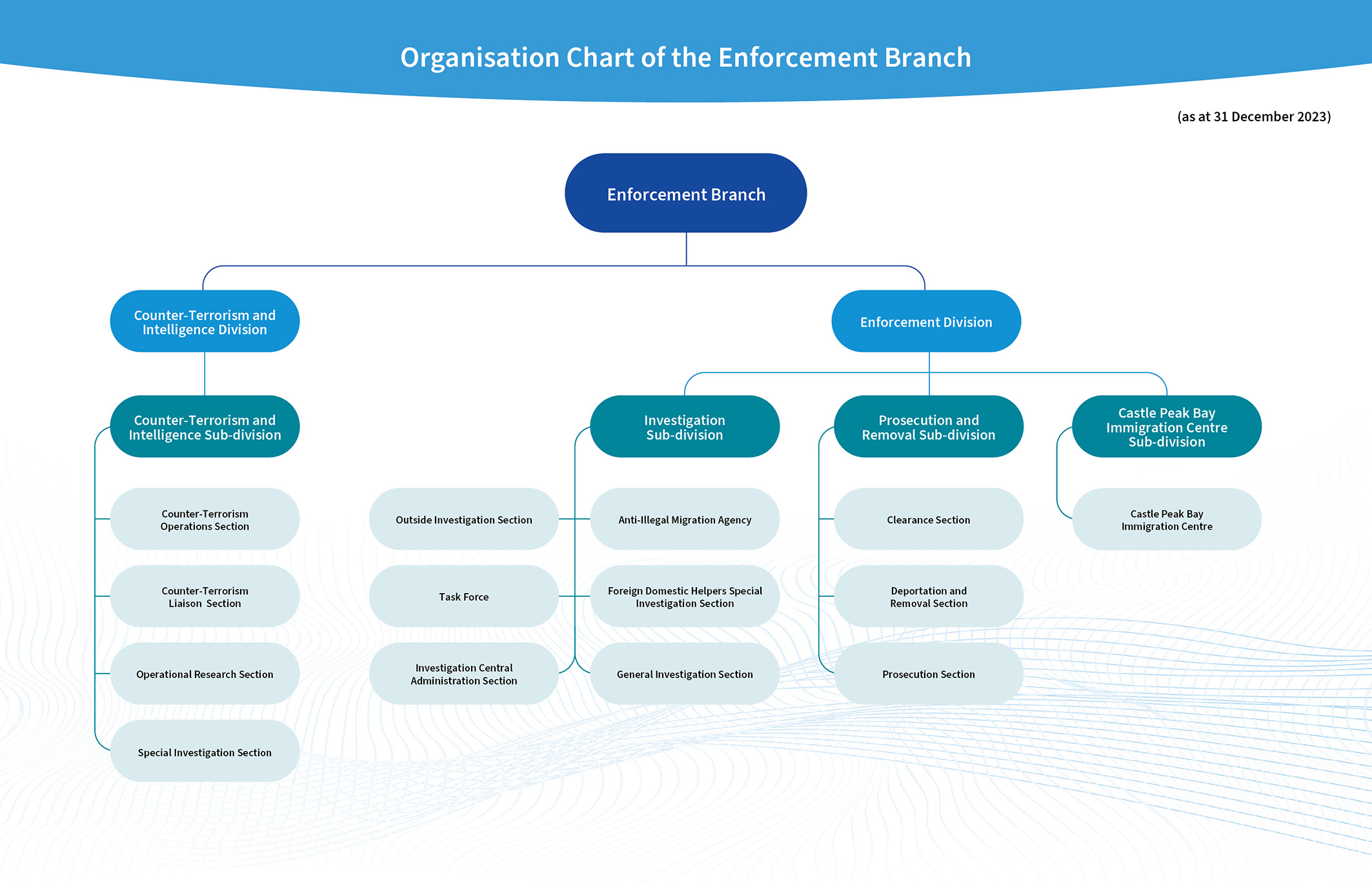 Organisation Chart of the Enforcement Branch